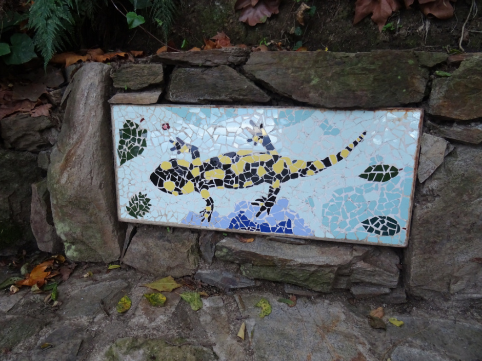 Font de la Salamandra