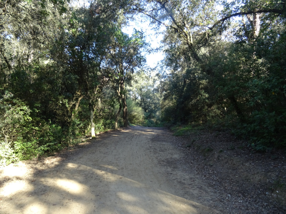Camí a Barcelona per la vall de Gausac