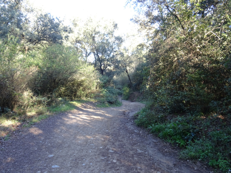 Camí a Barcelona per la vall de Gausac