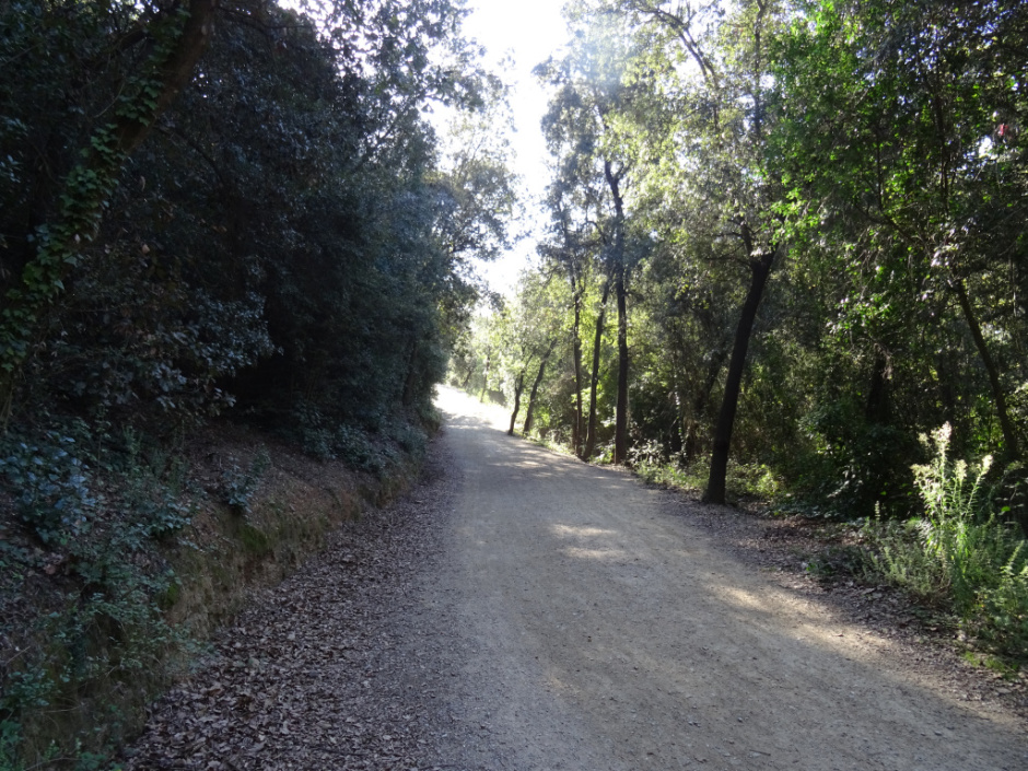 Camí a Barcelona per la vall de Gausac