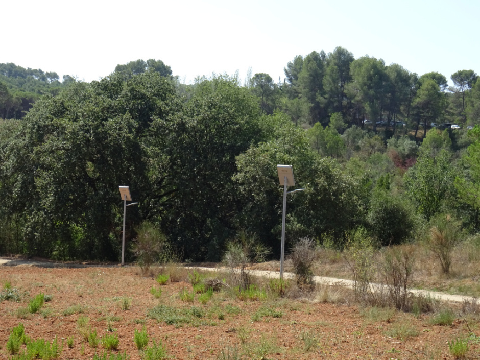 Torrent de Llaceres.