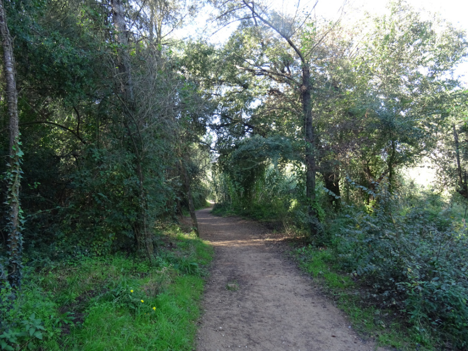 Torrent de Can Badal