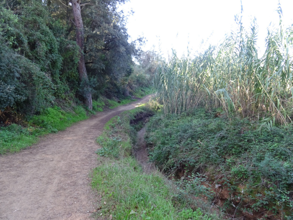 Torrent de Can Badal