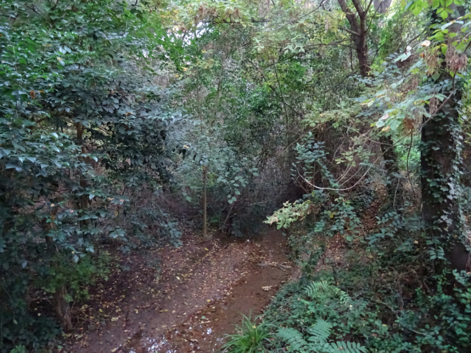 Torrent dels Ferrussons