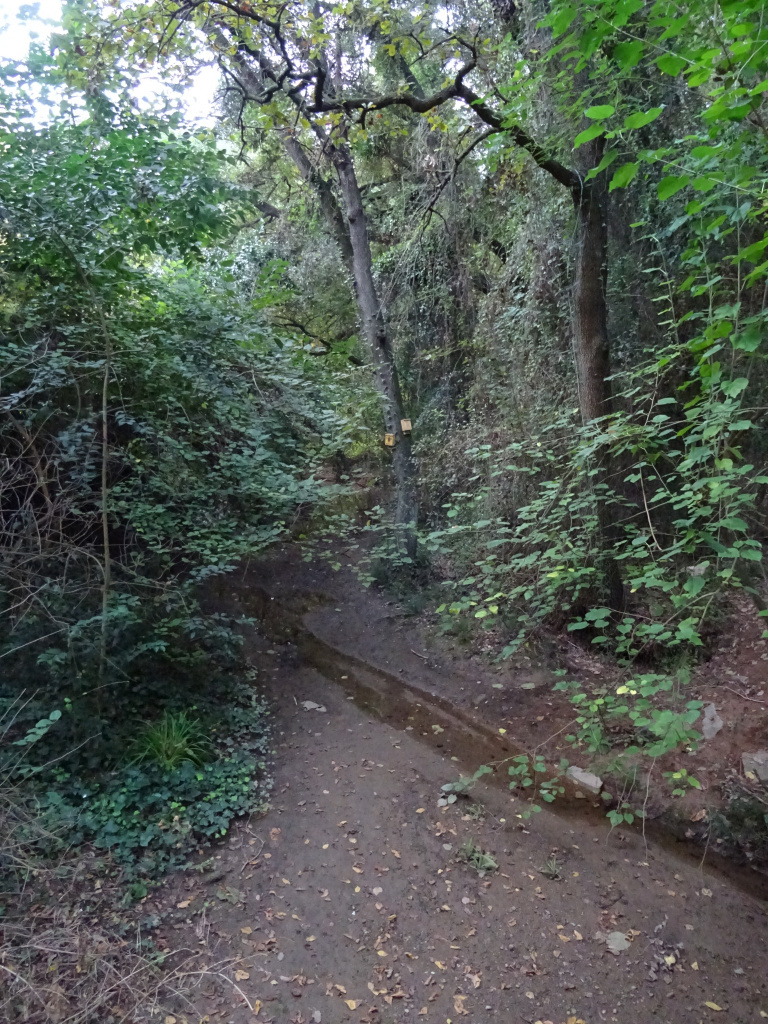 Torrent dels Ferrussons