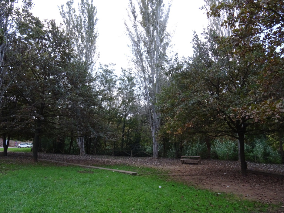 Torrent dels Ferrussons