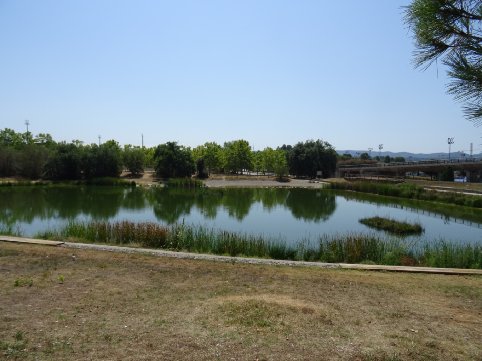 Estany de la Guinardera