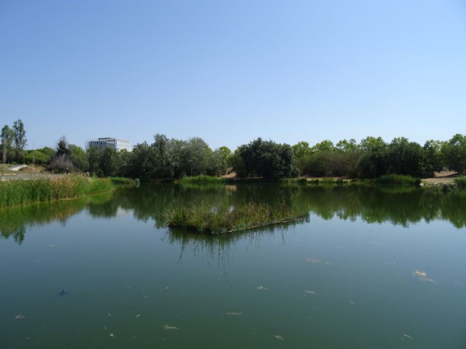 Estany de la Guinardera