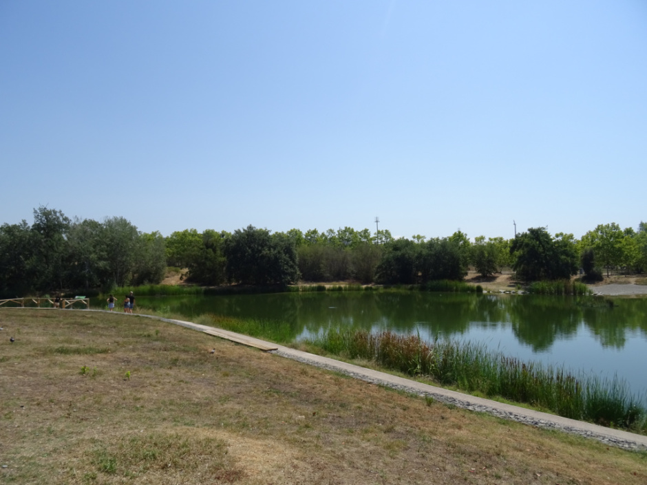 Estany de la Guinardera