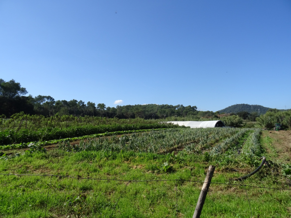 Zona agrícola de la Rural