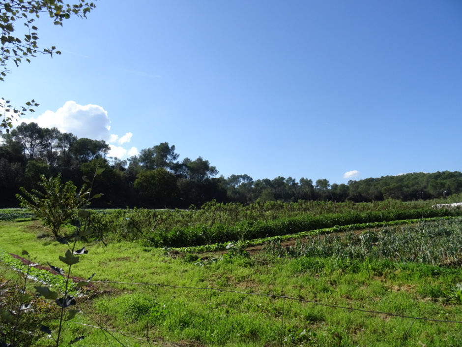 Zona agrícola de la Rural
