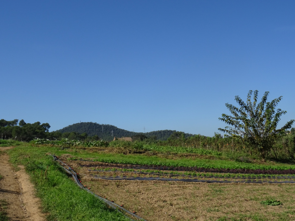 Zona agrícola de la Rural