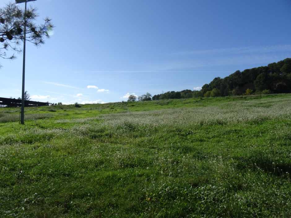 Antic camp de golf de Can Sant Joan