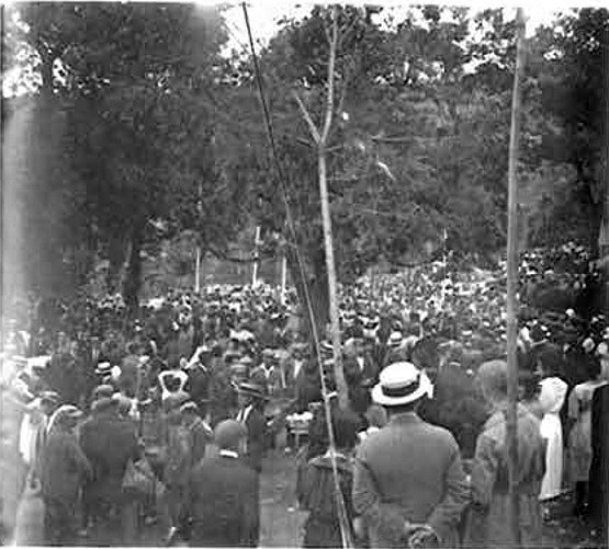 Ref.608. 19 juny 1921. Festa de la sardana. Font de les Monges. Arxiu Mas