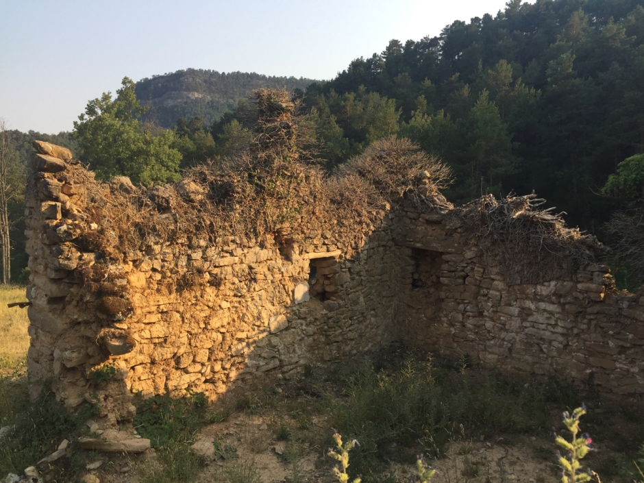 Vista de cal Trempat des del costat NE