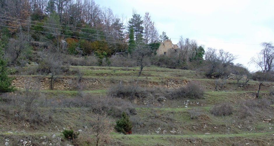 Feixes d'El Soler