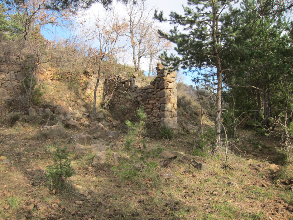 Vista del cobert de les Vinyes