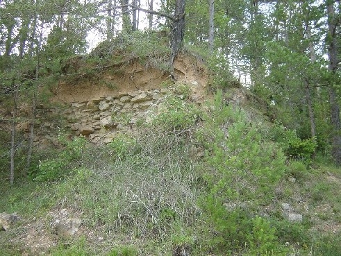 Restes de la bassa del Molí de Terradelles