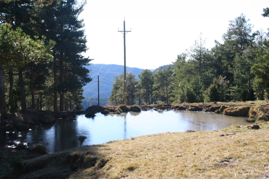 Bassa del Coll de la Creu de Solé