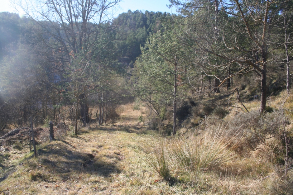 Camí ral pel seu pas per Cal Berlinga