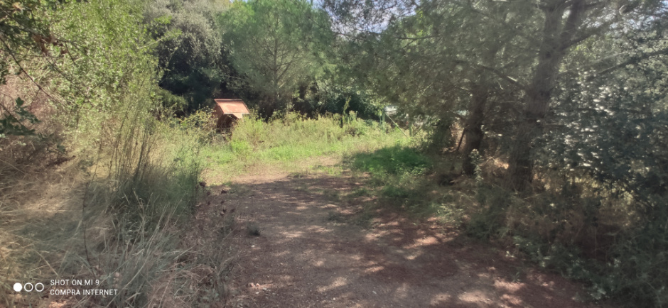 Vista del tram del camí històric de can Baró.