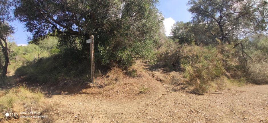 Vista del tram del camí històric de can Baró.