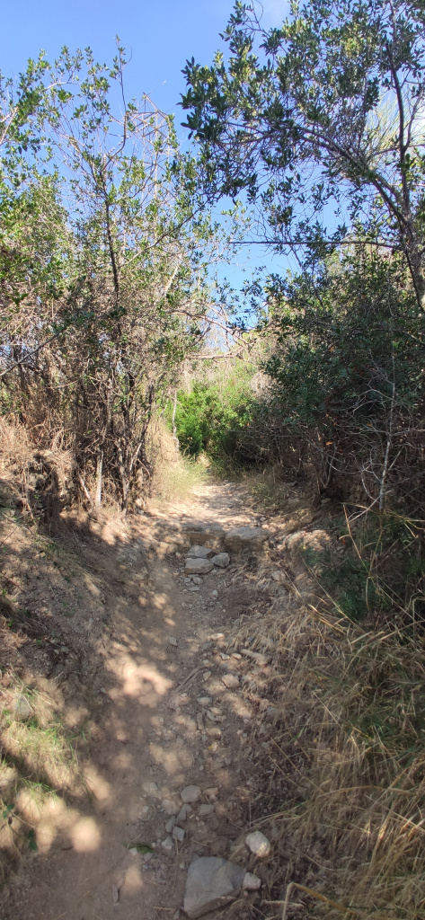 Vista detall del sender.