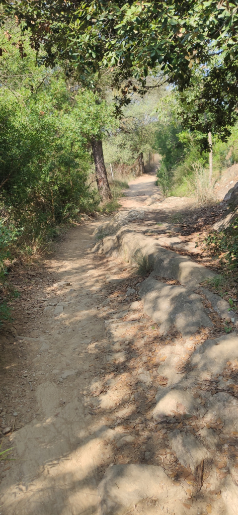 Vista detall del sender.