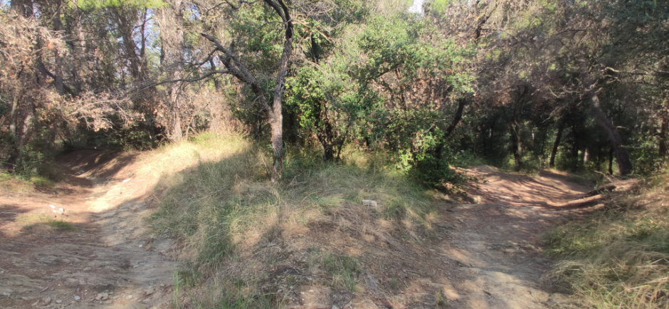 Vista detall del camí.