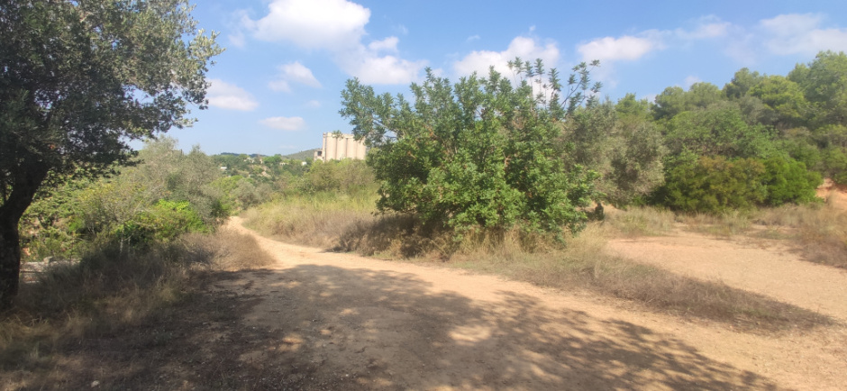 Vista detall del camí.