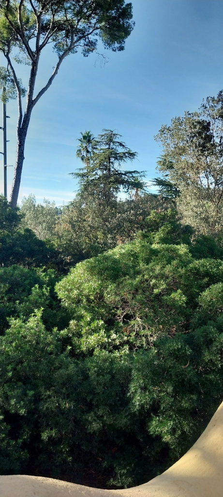 Vista del jardí de can Ginestar, espai ocupat pel jaciment arqueològic.