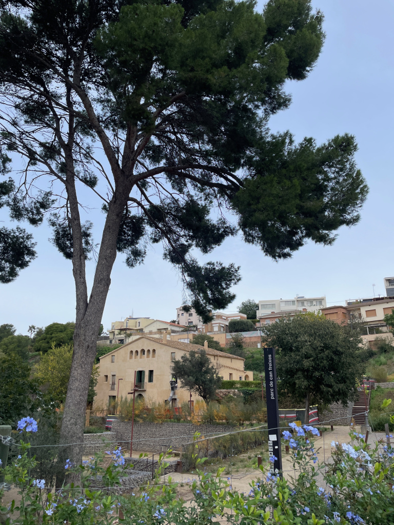Vista general de l'edifici dins del parc.