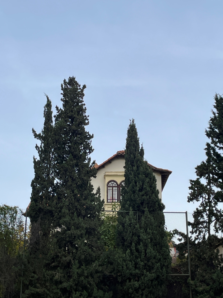 Vista de la part superior de la façana.