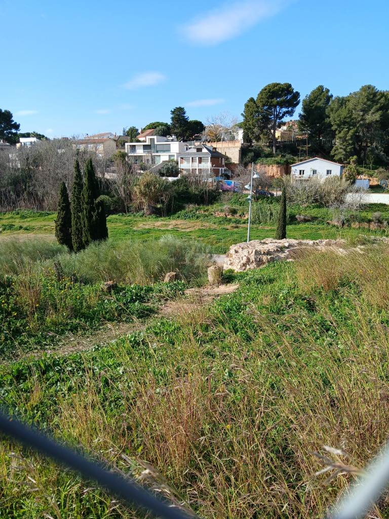 Vista general de l'emplaçament de la bassa i el cup.