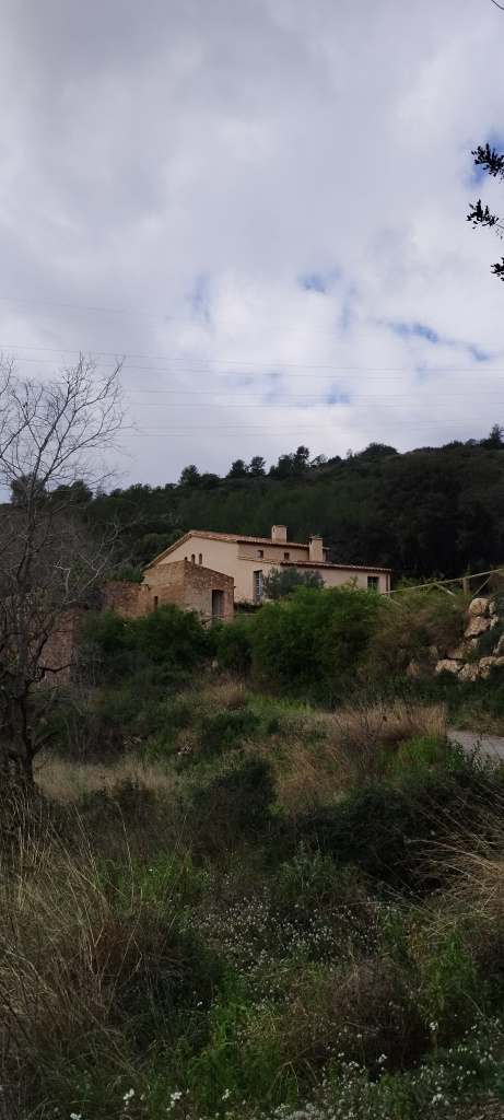 Vista general de l'emplaçament.