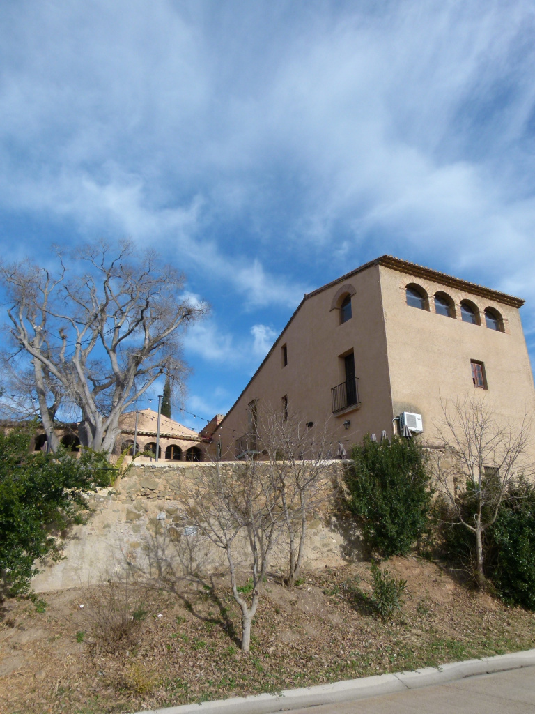 Vista general de l'emplaçament amb el lledoner centenari dins del pati.