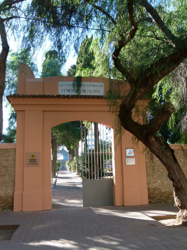 Vista detall de la porta d'entrada.