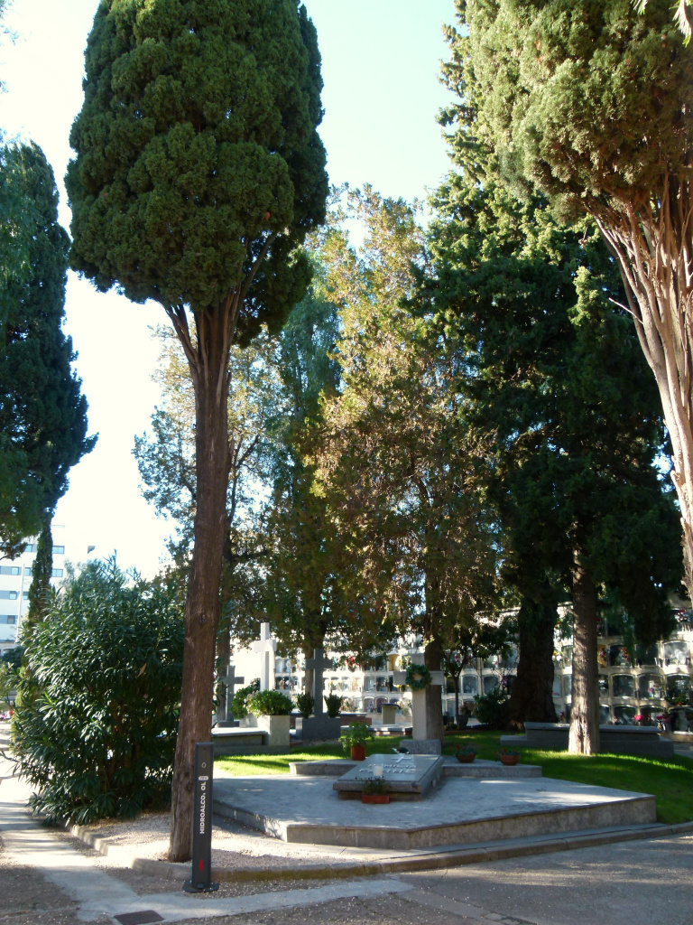 Vista general interior del cementiri amb els xiprers centenaris. 