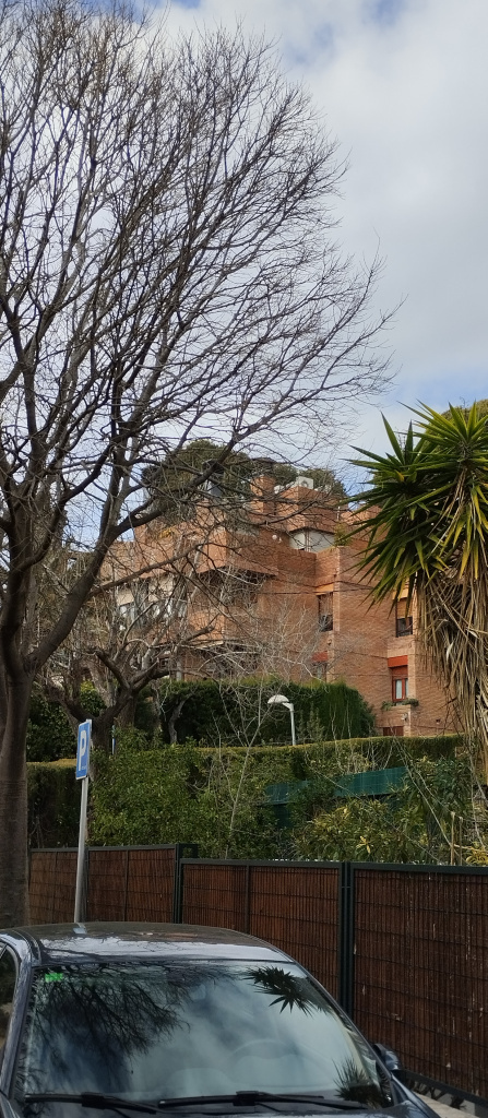 Vista general de l'emplaçament.