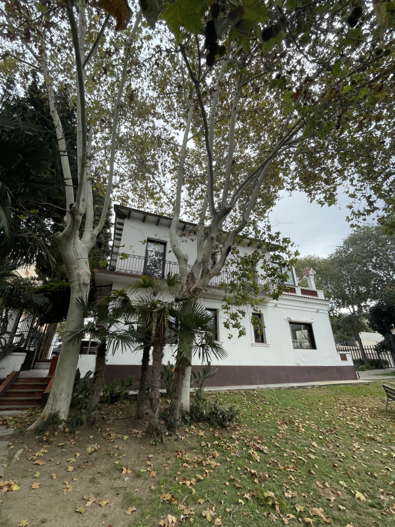 Vista lateral de la façana.