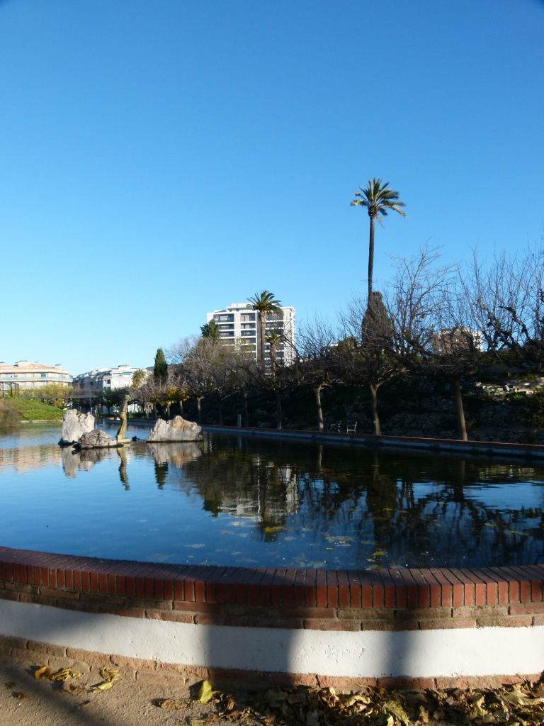 Vista general de l'estany.