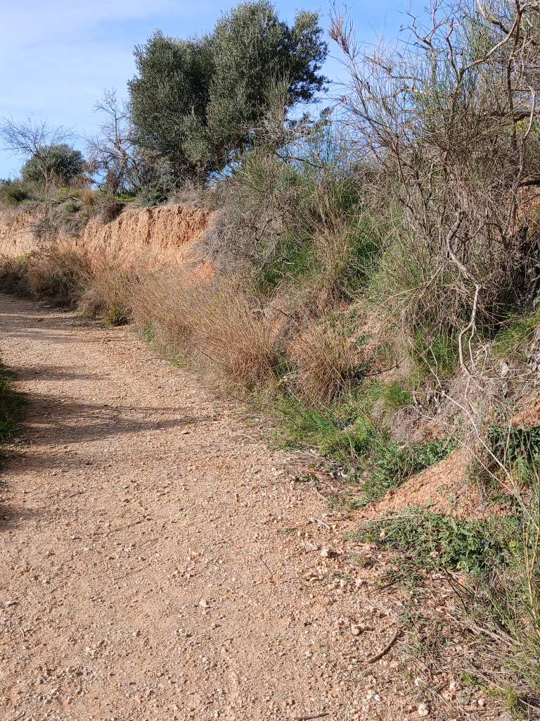 Vista del marge del camí a on afloren les restes arqueològiques.