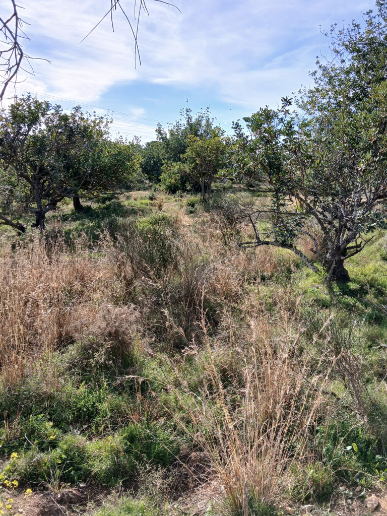 Vista general de l'emplaçament.