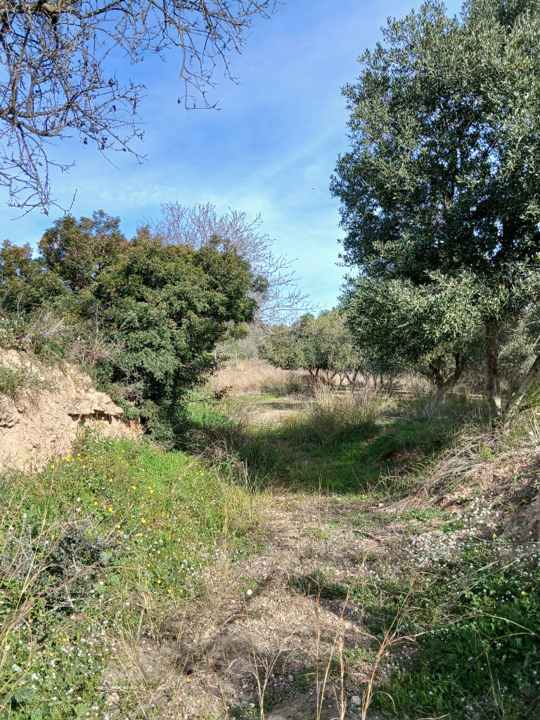 Vista general de l'emplaçament.