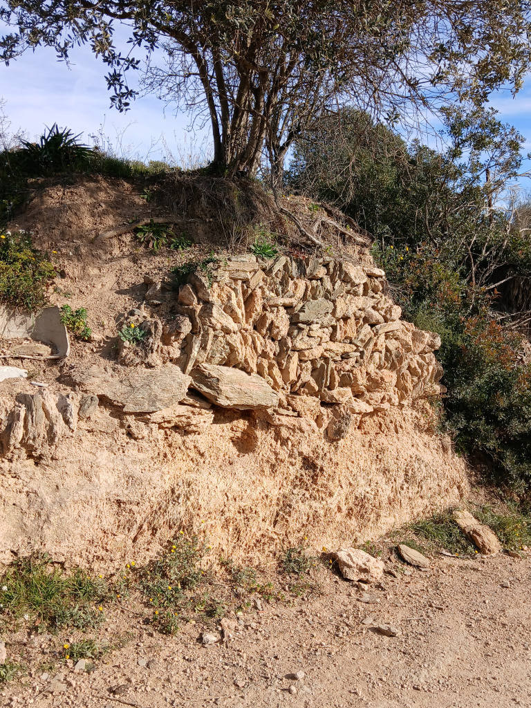 Vista detall de les restes al marge del camí.