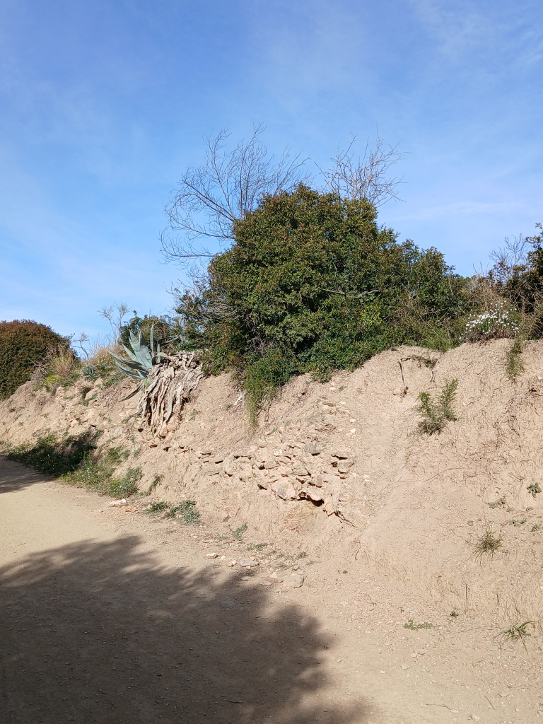 Vista detall de les restes al marge del camí.