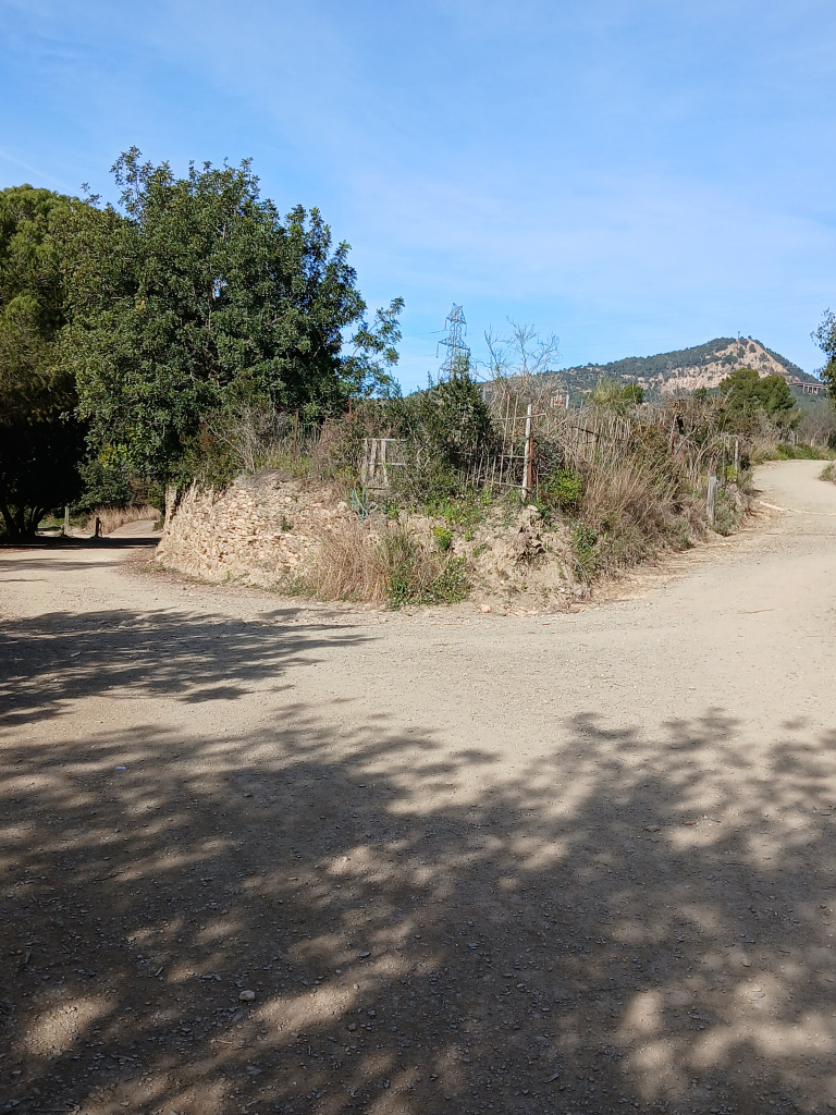 Vista general del marge del camí a on afloren les restes arqueològiques.