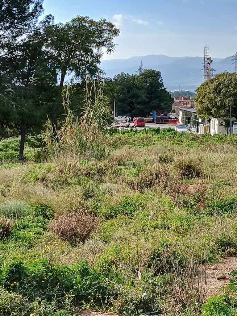 Vista general de l'emplaçament.
