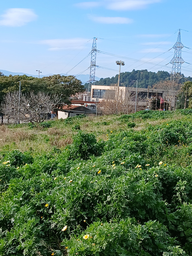 Vista general de l'emplaçament.
