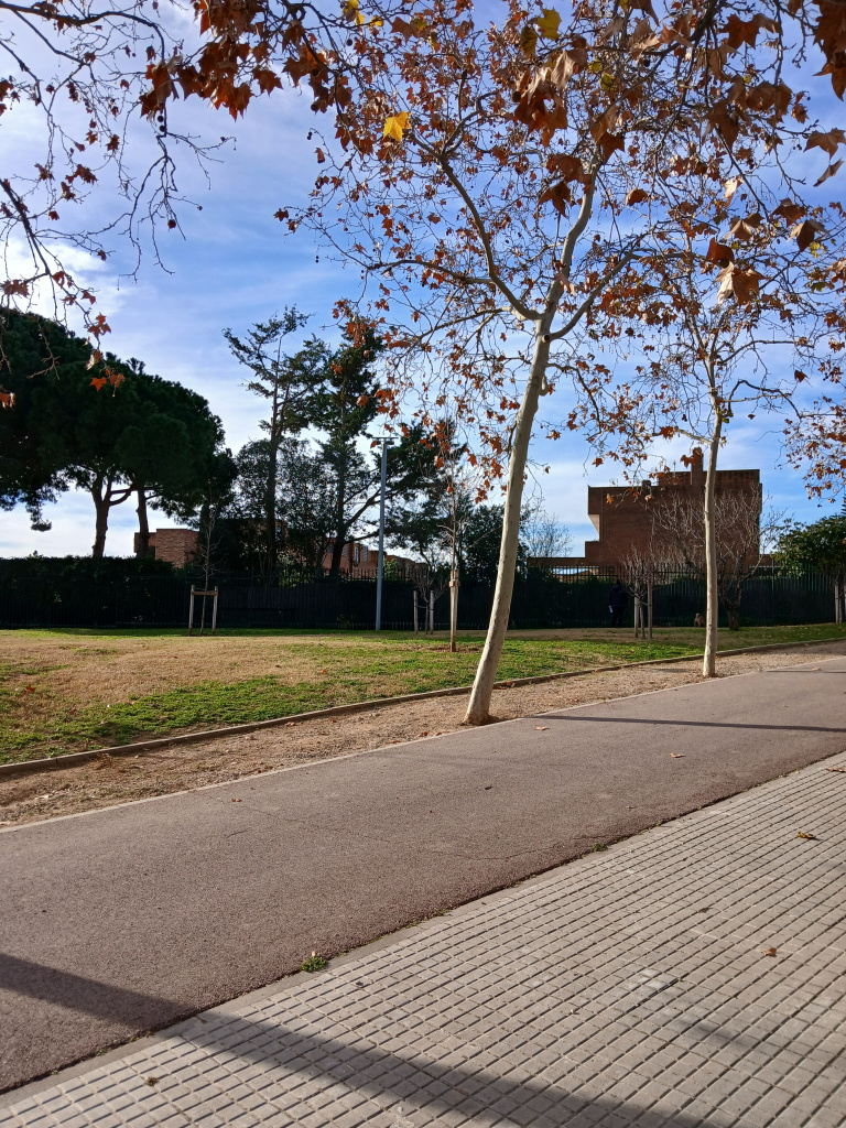 Vista general de l'emplaçament.